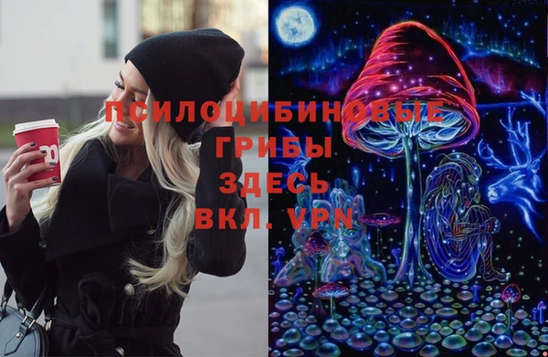 сатива Алексеевка