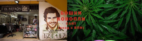 сатива Алексеевка