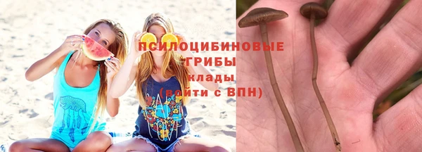 PSILOCYBIN Алексин