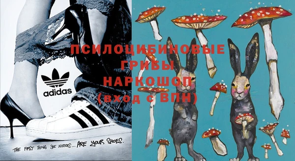 сатива Алексеевка