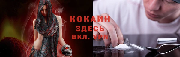 PSILOCYBIN Алексин